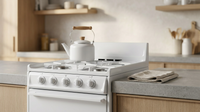 20 In. 2.5 Cu. Ft. Gas Range in White — Lifestyle