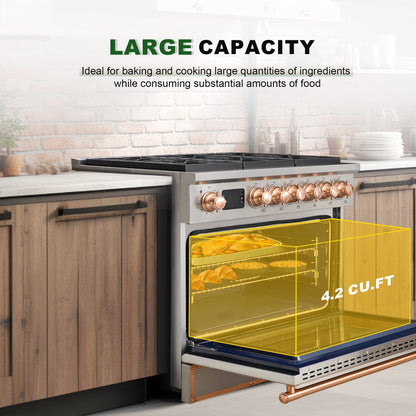 36” Freestanding Gas Range with 6 Sealed Burners Cooktop, Natural Gas/LP Convertible